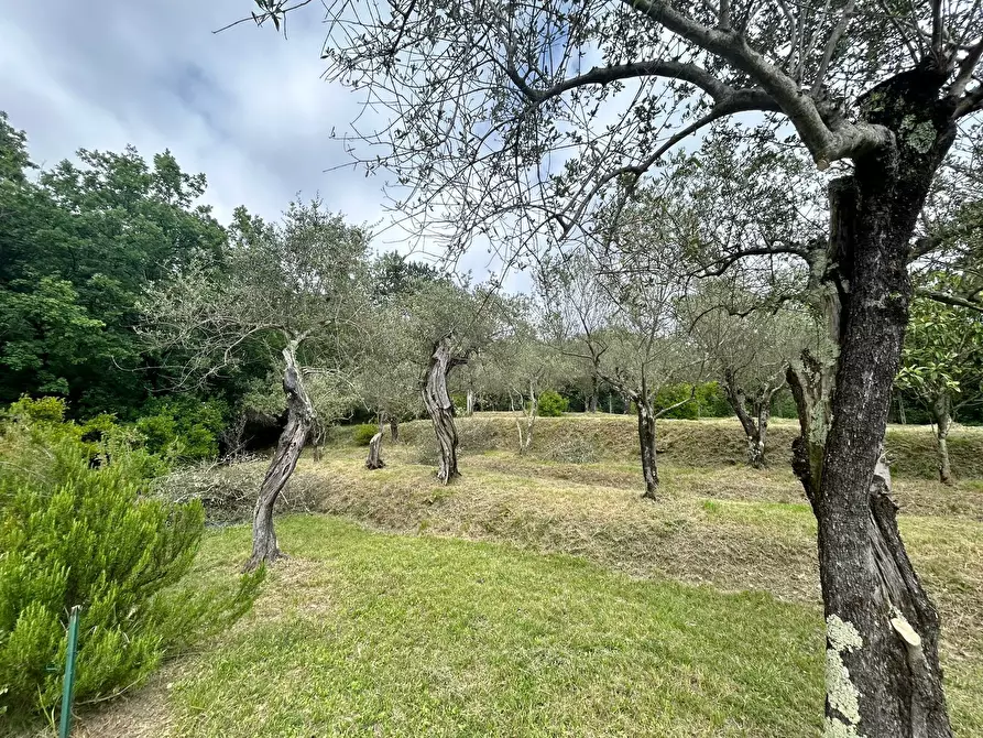 Immagine 41 di Casa indipendente in vendita  a Castelnuovo Magra