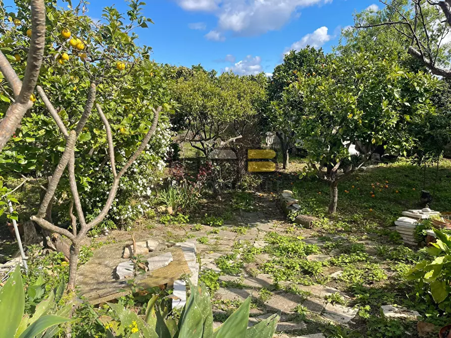 Immagine 12 di Casa indipendente in vendita  a Valderice