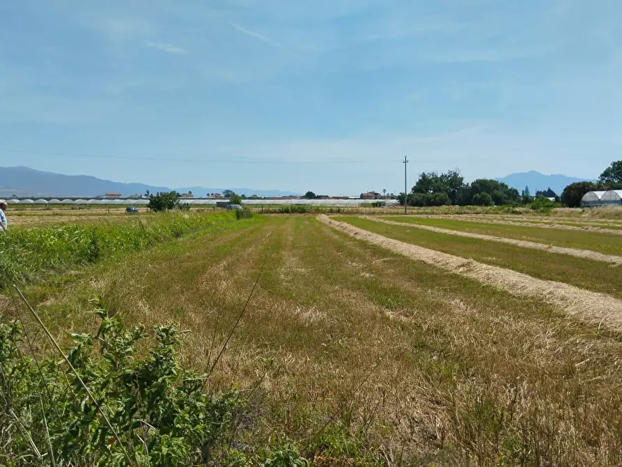 Immagine 23 di Terreno agricolo in vendita  in via bernardo tanucci a Eboli