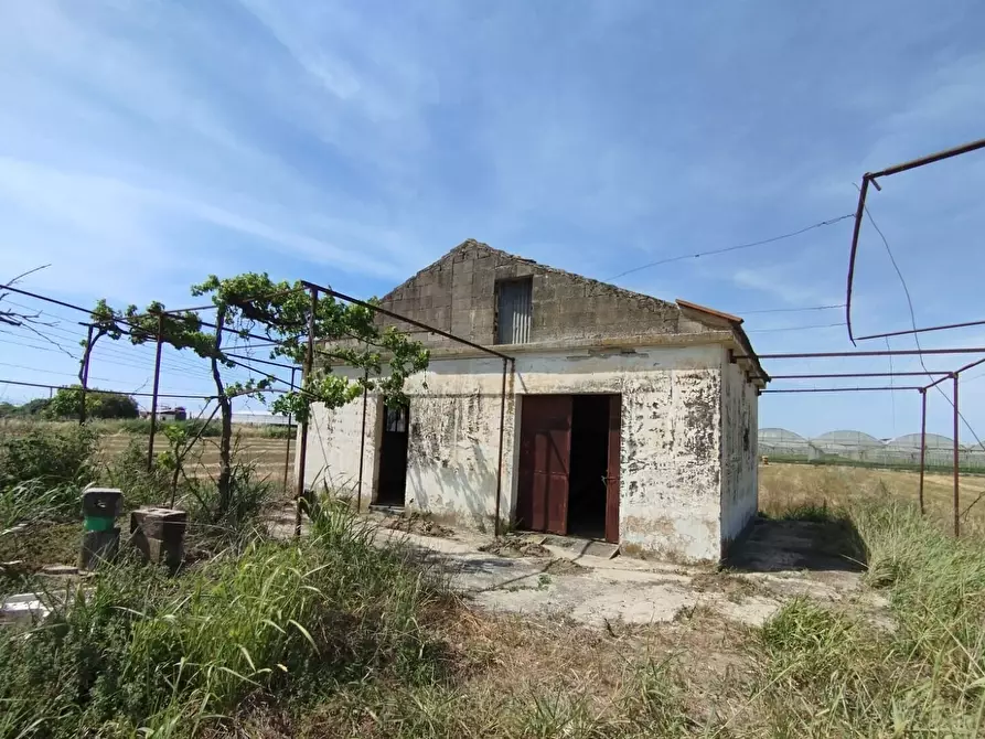 Immagine 24 di Terreno agricolo in vendita  in via bernardo tanucci a Eboli