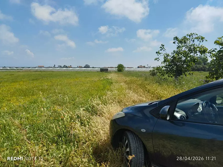 Immagine 12 di Terreno agricolo in vendita  in via bernardo tanucci a Eboli