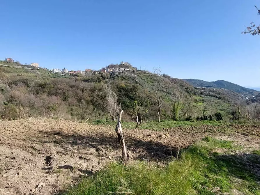 Immagine 2 di Terreno agricolo in vendita  in via casa vicinanza a Salerno