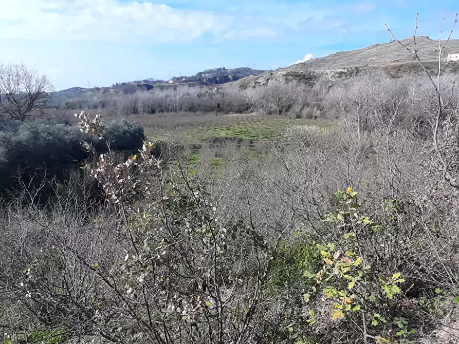 Immagine 2 di Terreno agricolo in vendita  in via raiello a Montecorvino Rovella