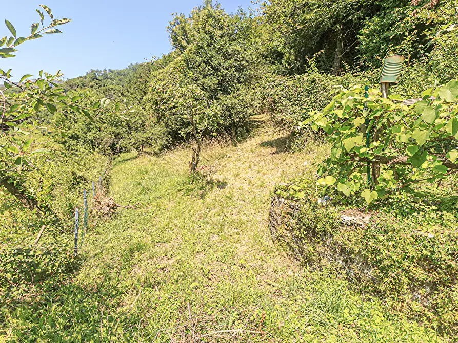 Immagine 109 di Villa in vendita  in Via Monte Carlo 7 a Campomorone