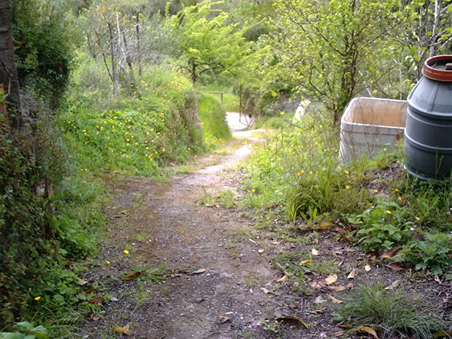 Immagine 9 di Rustico / casale in vendita  a Monte Argentario