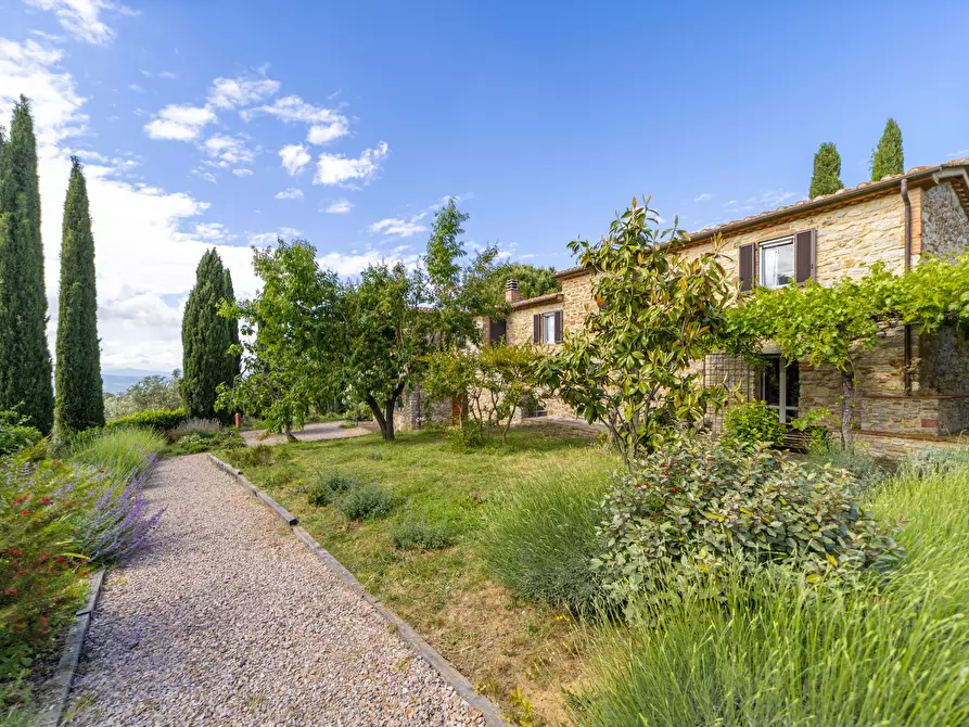 Immagine 5 di Rustico / casale in vendita  in vicolo dei fossi 2/C a Scansano