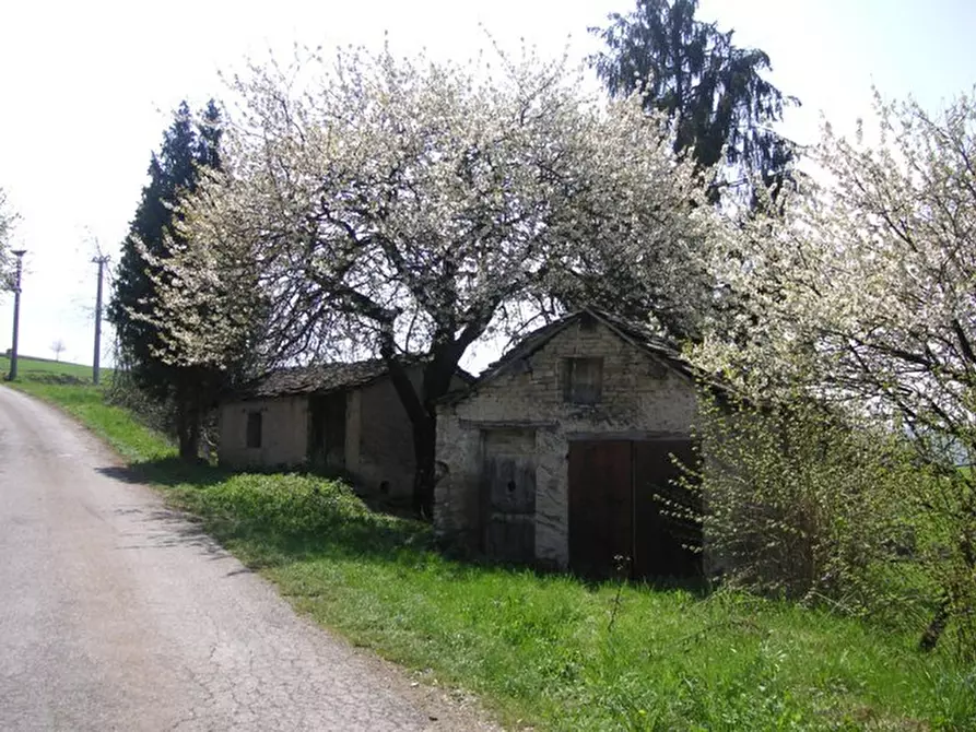 Immagine 14 di Rustico / casale in vendita  in Via Rea Sottana a Murazzano
