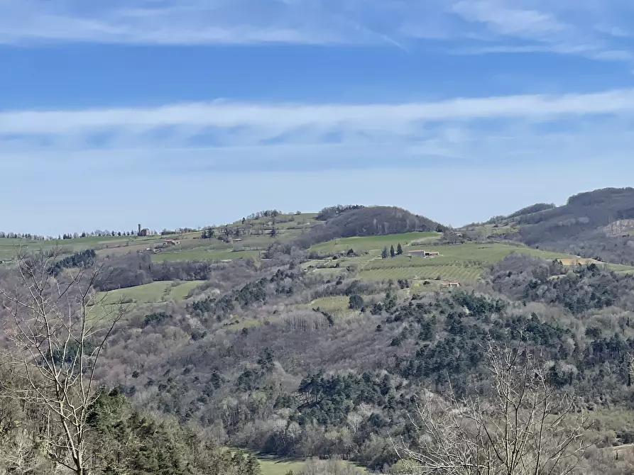 Immagine 4 di Rustico / casale in vendita  in frazione luzzi a Bossolasco