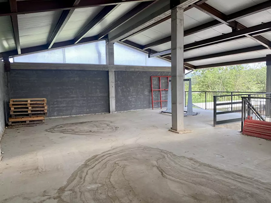 Immagine 9 di Magazzino in vendita  in località dalmazzoni 1 a Niella Tanaro