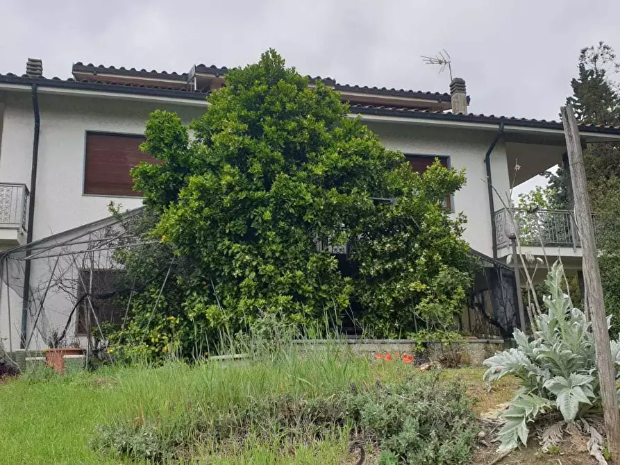 Immagine 5 di Rustico / casale in vendita  in via francesco rossi a Cinzano