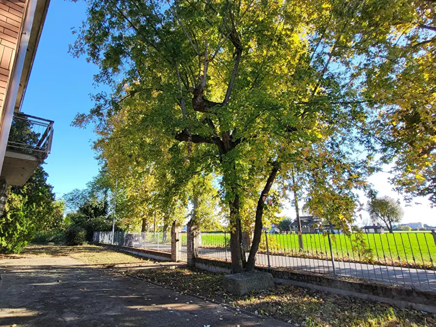 Immagine 7 di Villa in vendita  in Strada Cornazzano 3 a Sissa Trecasali