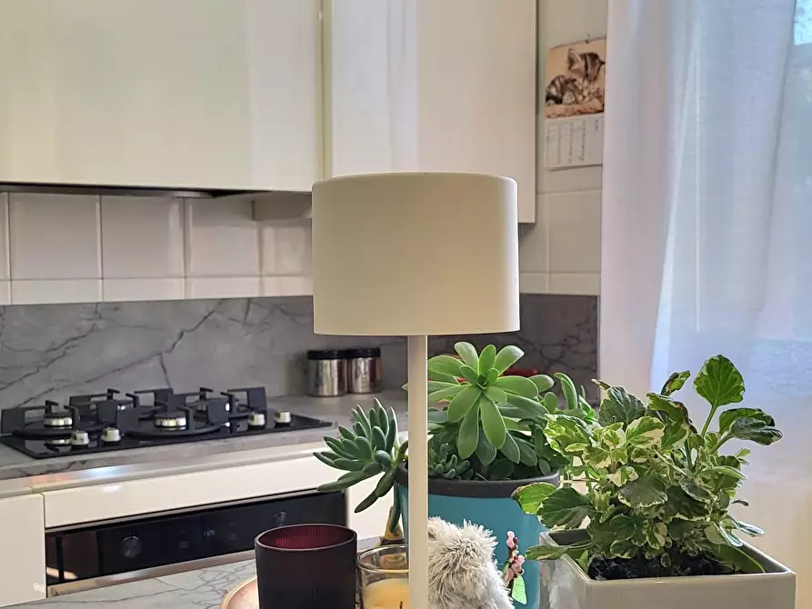 Immagine 12 di Trilocale in vendita  in Via F. Frati 1 a Sissa Trecasali