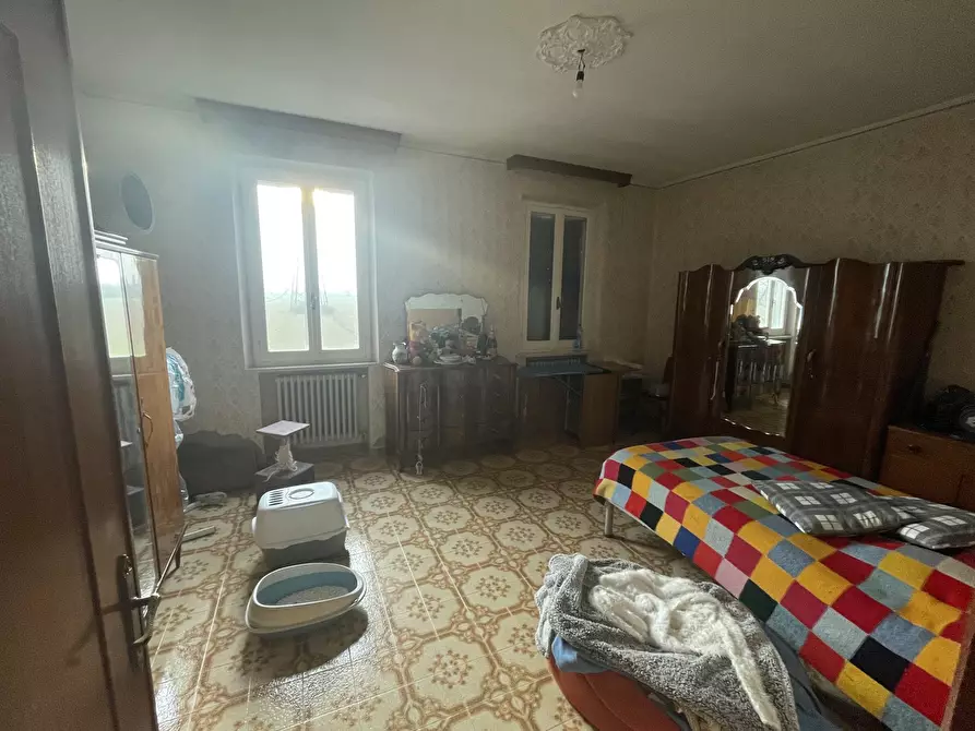 Immagine 23 di Azienda agricola in vendita  in Via al Serraglio 35 a Colorno