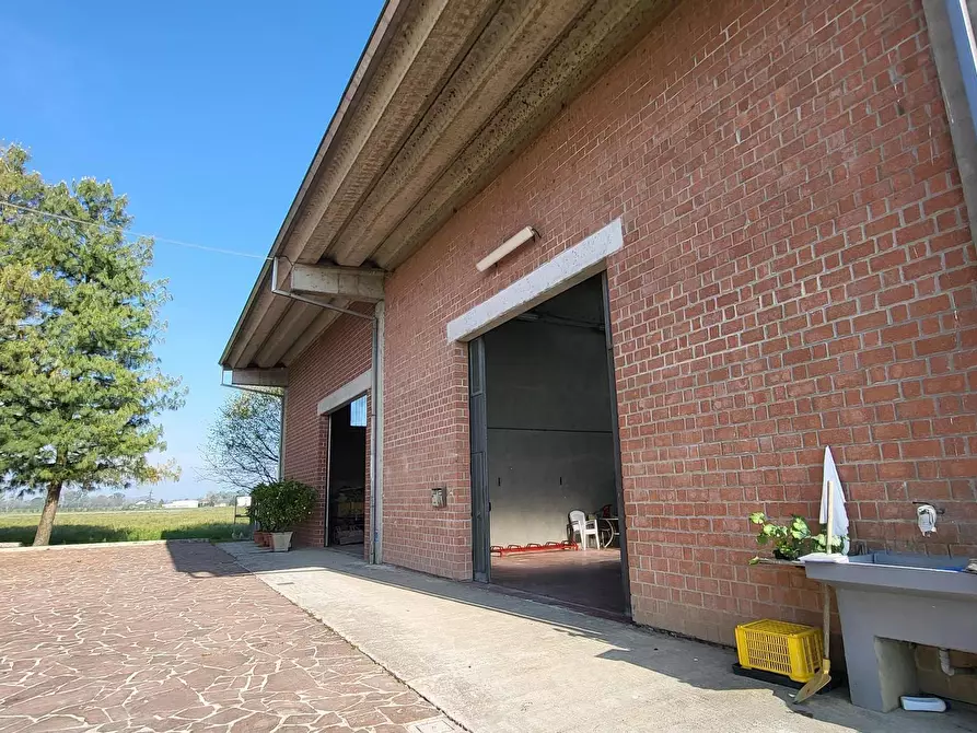 Immagine 49 di Casa bifamiliare in vendita  in Strada Bassa 3 a San Secondo Parmense