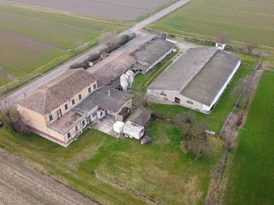 Immagine 5 di Azienda agricola in vendita  in Via al Serraglio 35 a Colorno