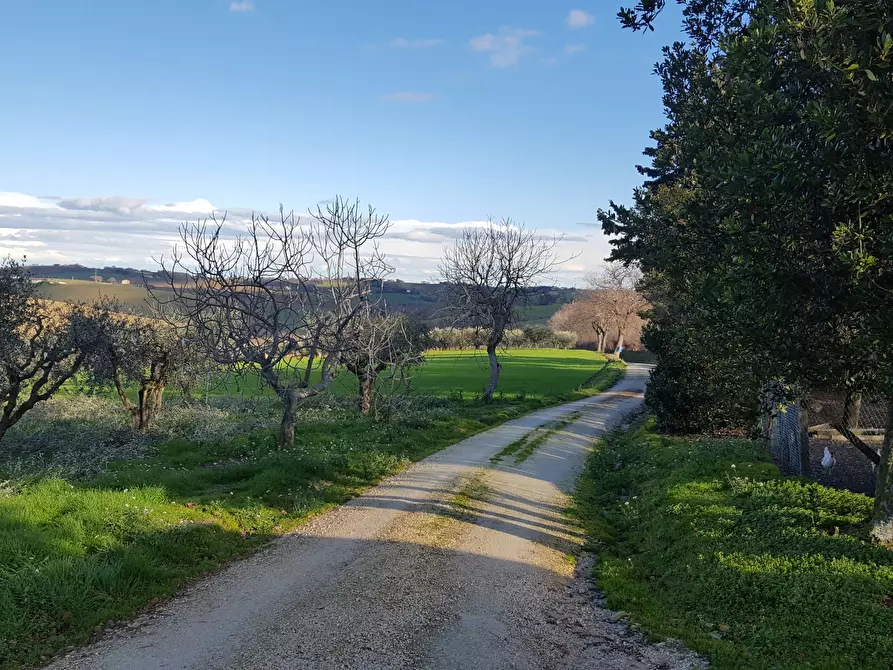 Immagine 5 di Rustico / casale in vendita  a Senigallia