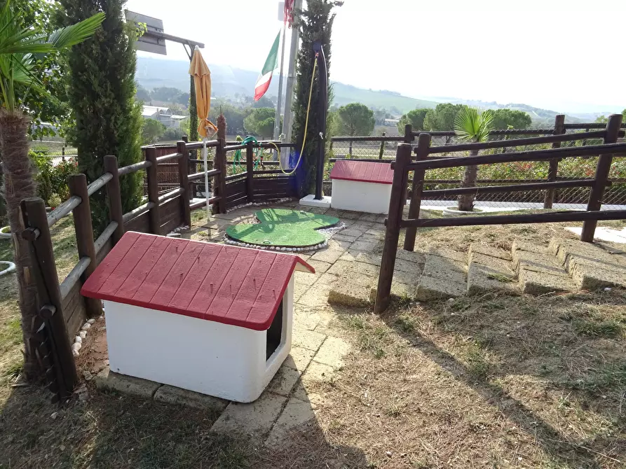 Immagine 4 di Rustico / casale in vendita  a Ostra Vetere