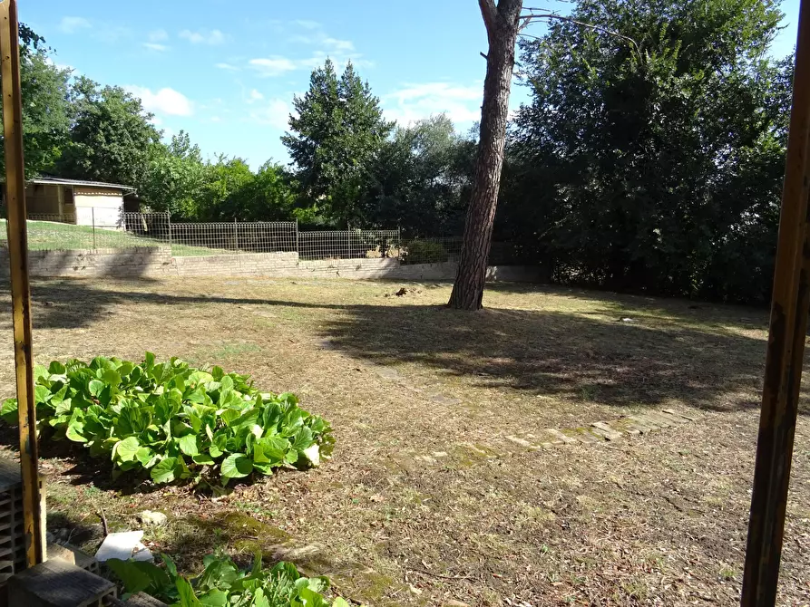 Immagine 8 di Villa in vendita  a Corinaldo