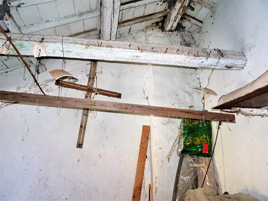 Immagine 9 di Casa bifamiliare in vendita  a Senigallia