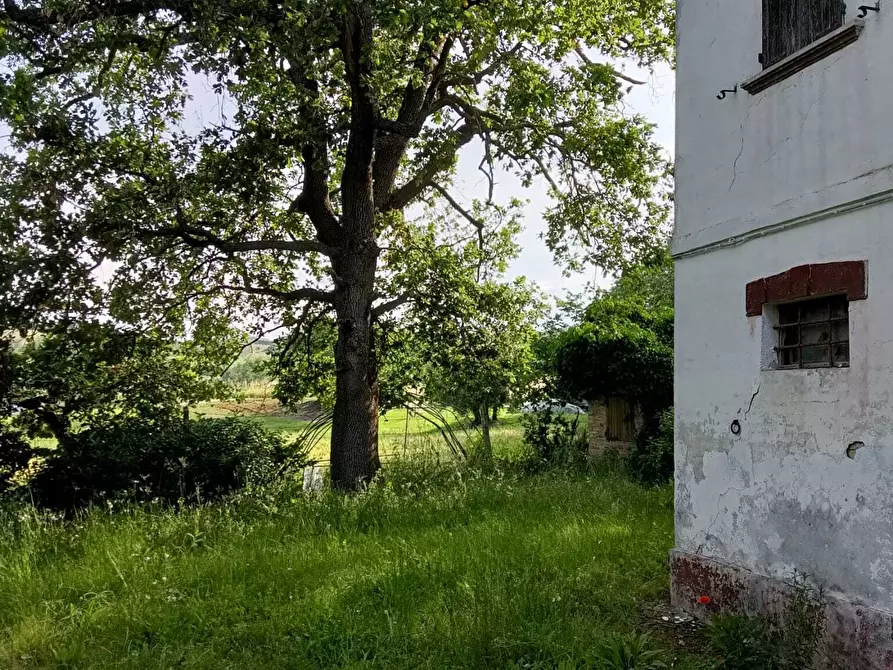 Immagine 15 di Rustico / casale in vendita  a Corinaldo
