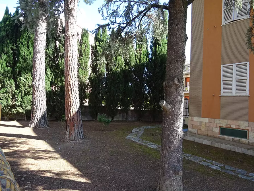 Immagine 6 di Villa in vendita  a Corinaldo