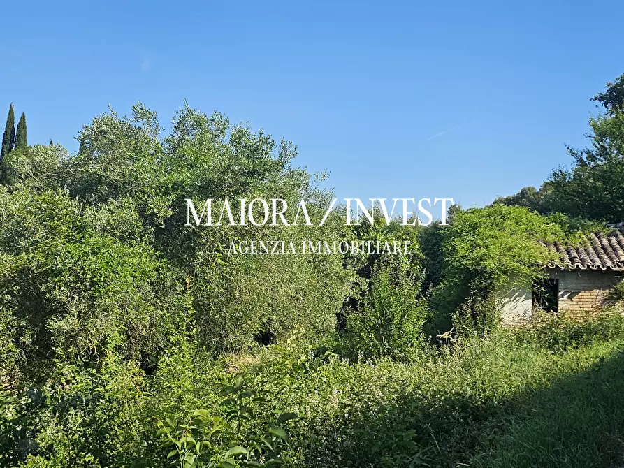 Immagine 13 di Terreno agricolo in vendita  in Contrada Pianelle a Monsampolo Del Tronto