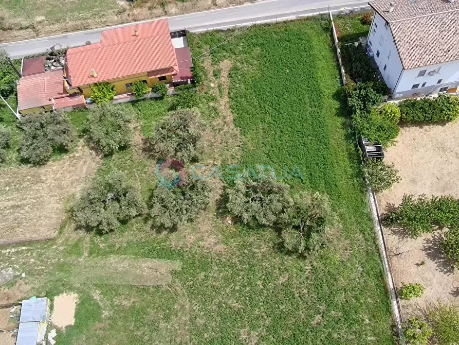 Immagine 43 di Terreno agricolo in vendita  a Silvi