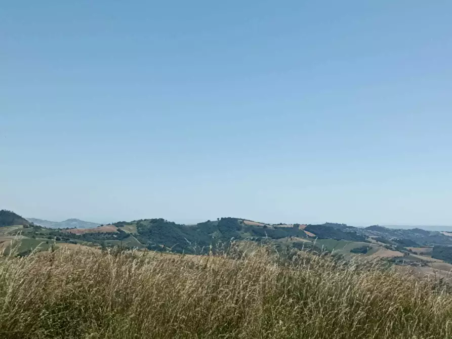 Immagine 9 di Terreno agricolo in vendita  a Farindola