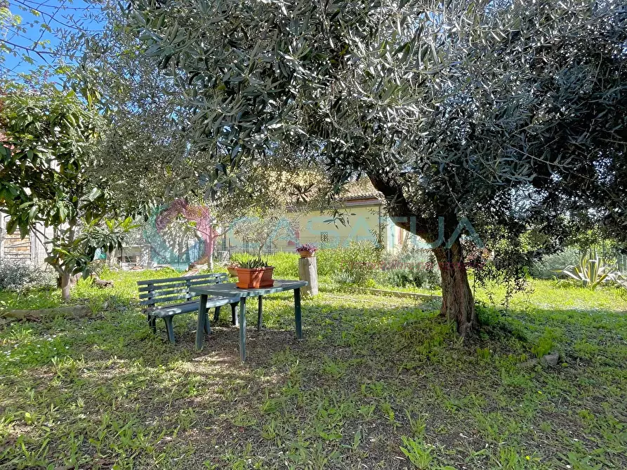 Immagine 1 di Porzione di casa in vendita  a Silvi