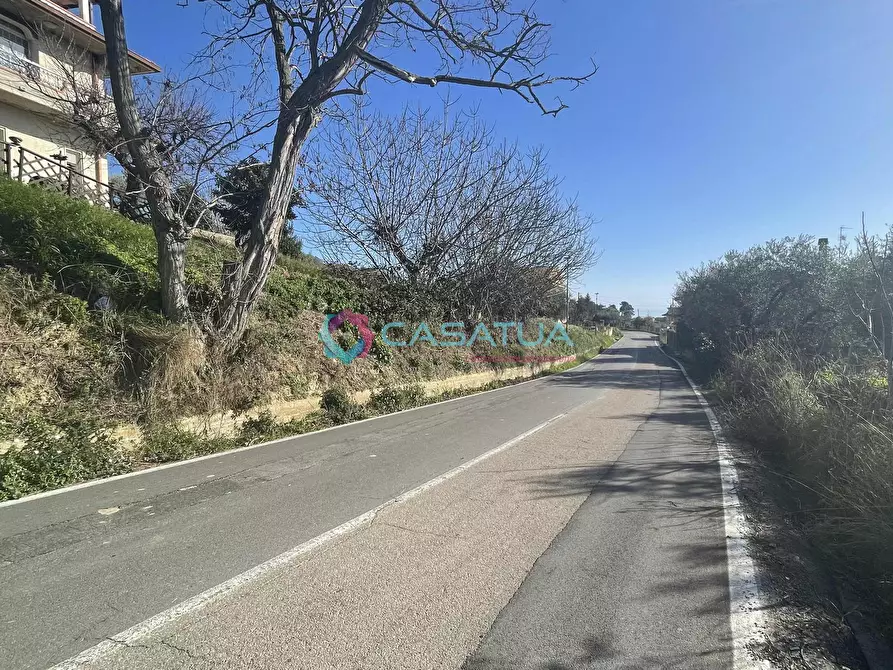 Immagine 40 di Terreno agricolo in vendita  a Silvi