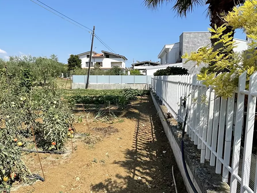 Immagine 7 di Terreno industriale in vendita  a Città Sant'angelo