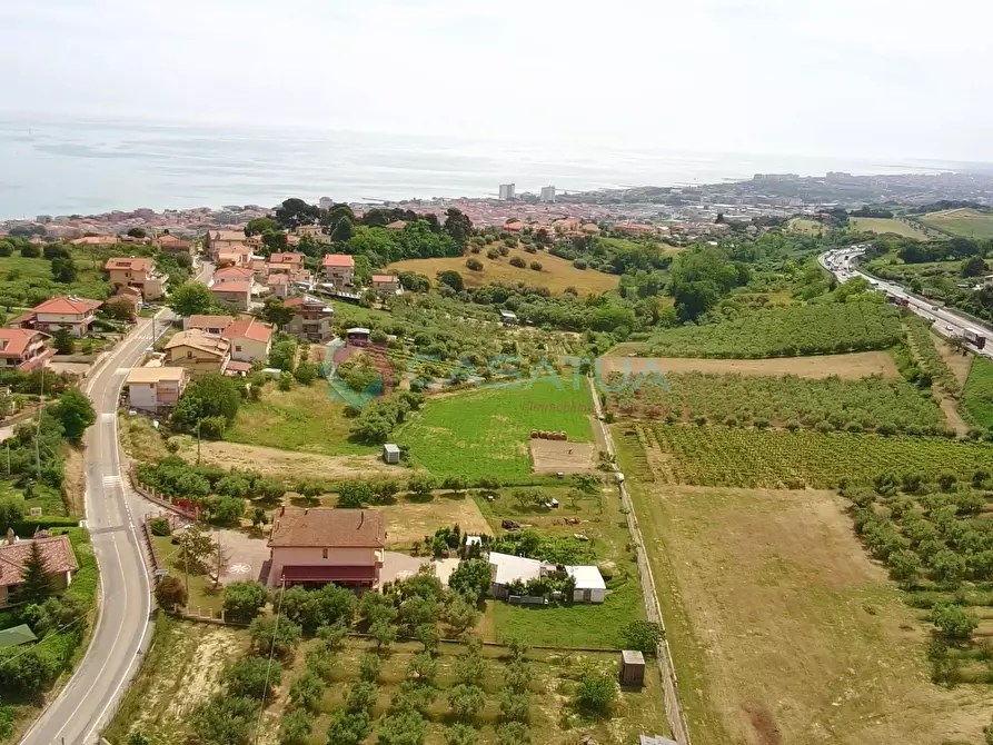 Immagine 25 di Terreno agricolo in vendita  a Silvi