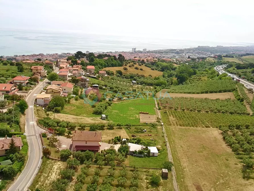 Immagine 45 di Terreno agricolo in vendita  a Silvi