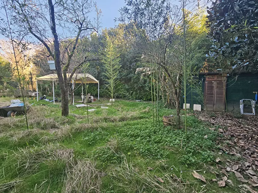 Immagine 7 di Rustico / casale in vendita  a Ameglia