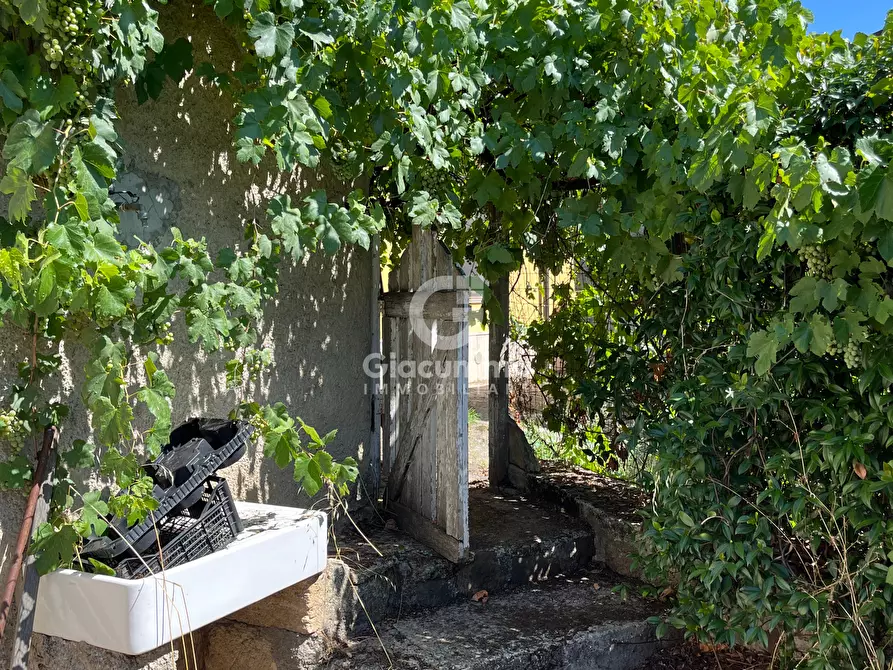 Immagine 16 di Casa indipendente in vendita  in Largo Gagliardi a Avigliano