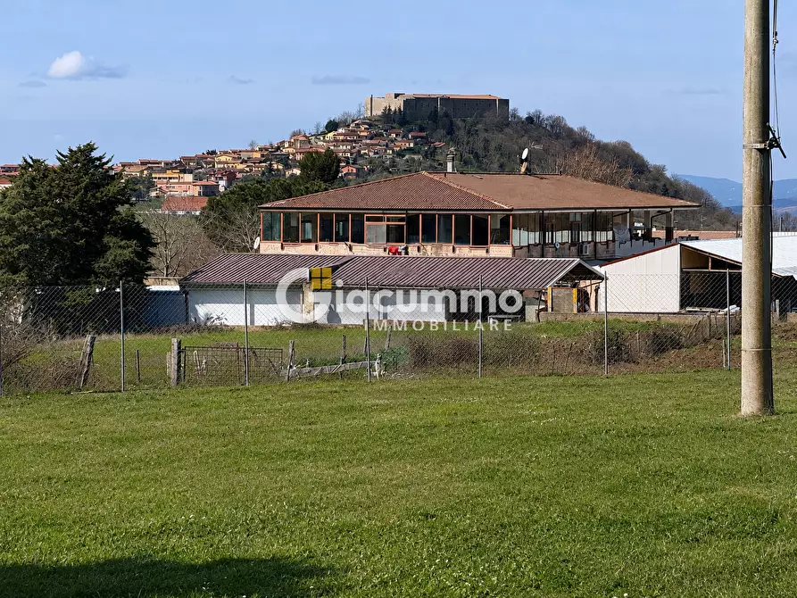 Immagine 12 di Villa in vendita  in CONTRADA MIRACOLO 60 a Avigliano