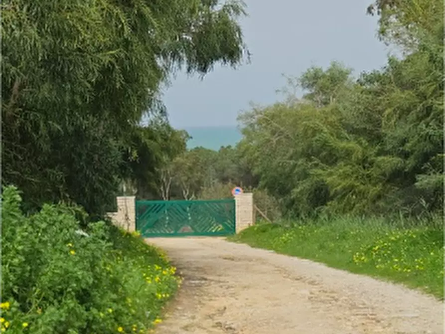 Immagine 20 di Trilocale in vendita  in Via dei Balcani a Trapani