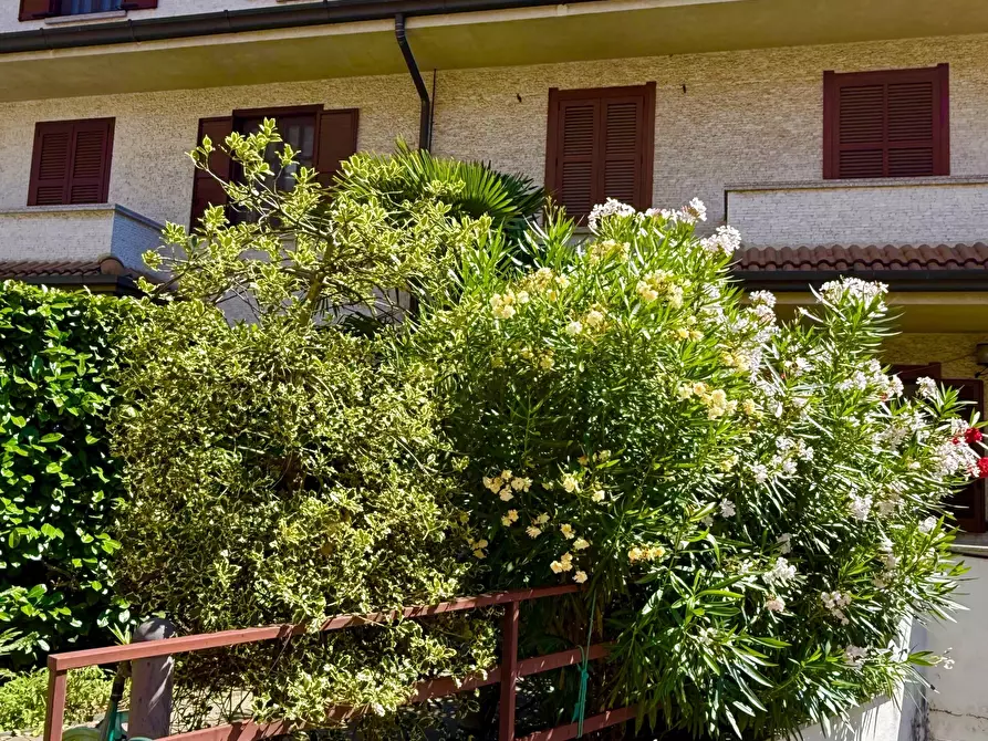 Immagine 21 di Casa bifamiliare in vendita  in Via Filippo Beltrame 20 a Vimodrone