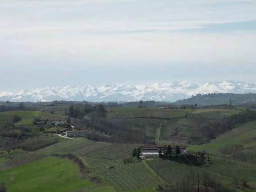 Immagine 66 di Casa indipendente in vendita  in Frazione Lavezzole 43 a San Damiano D'asti
