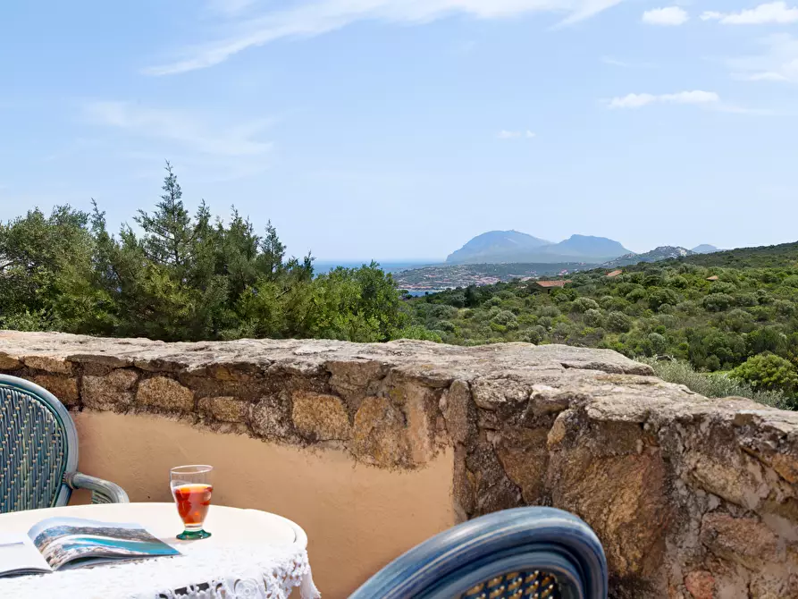 Immagine 31 di Villa in vendita  in Località Milmegghio a Olbia