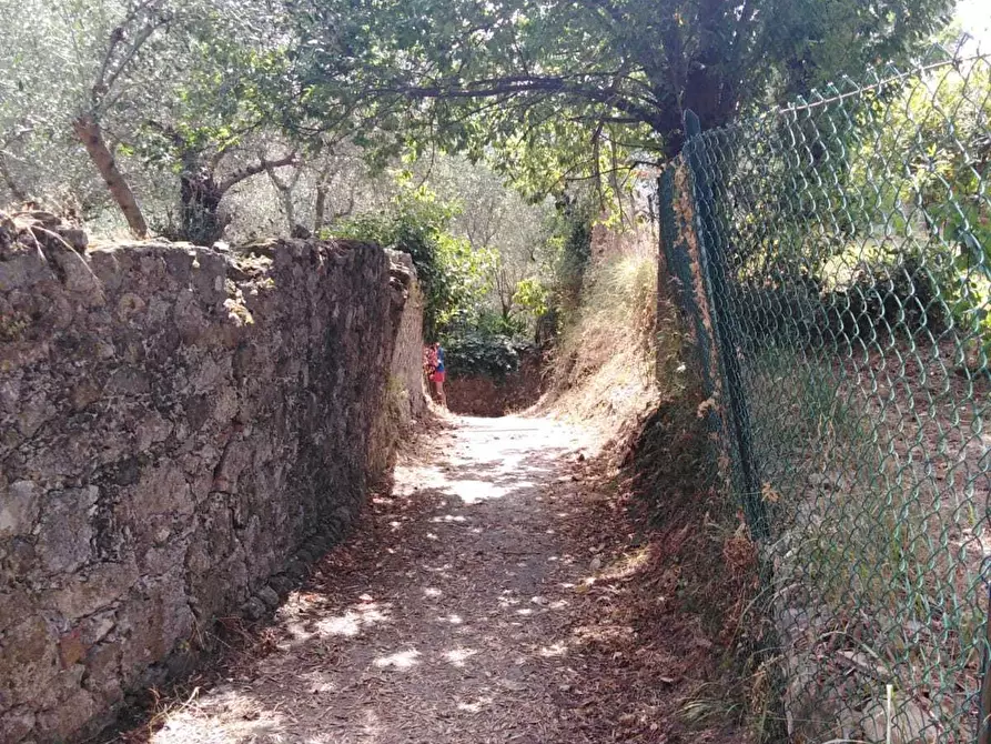 Immagine 15 di Trilocale in affitto  a La Spezia