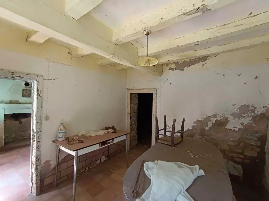 Immagine 24 di Porzione di casa in vendita  a Pellegrino Parmense