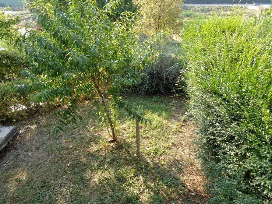 Immagine 16 di Quadrilocale in affitto  a Varano De' Melegari