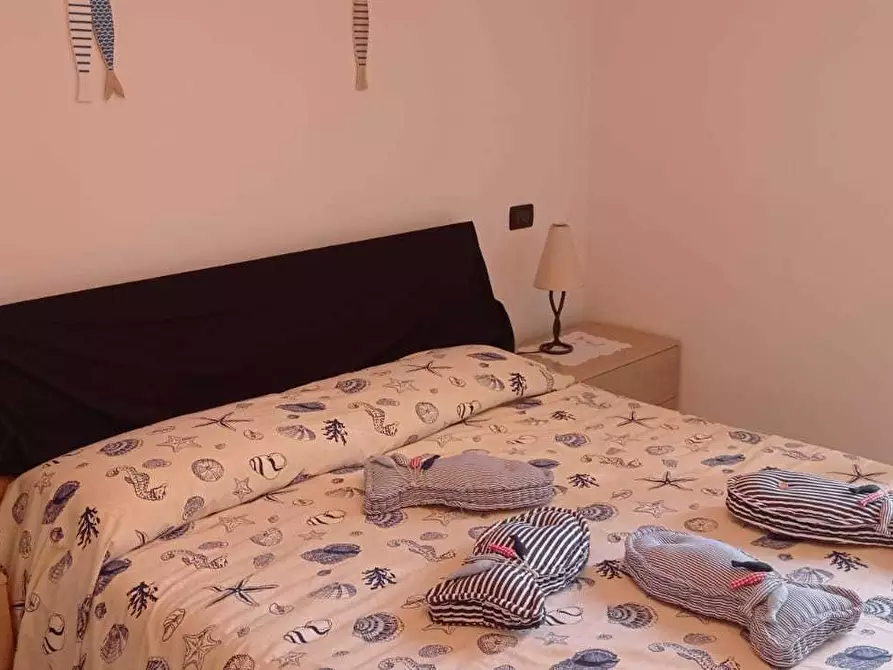 Immagine 9 di Trilocale in affitto  a Massa