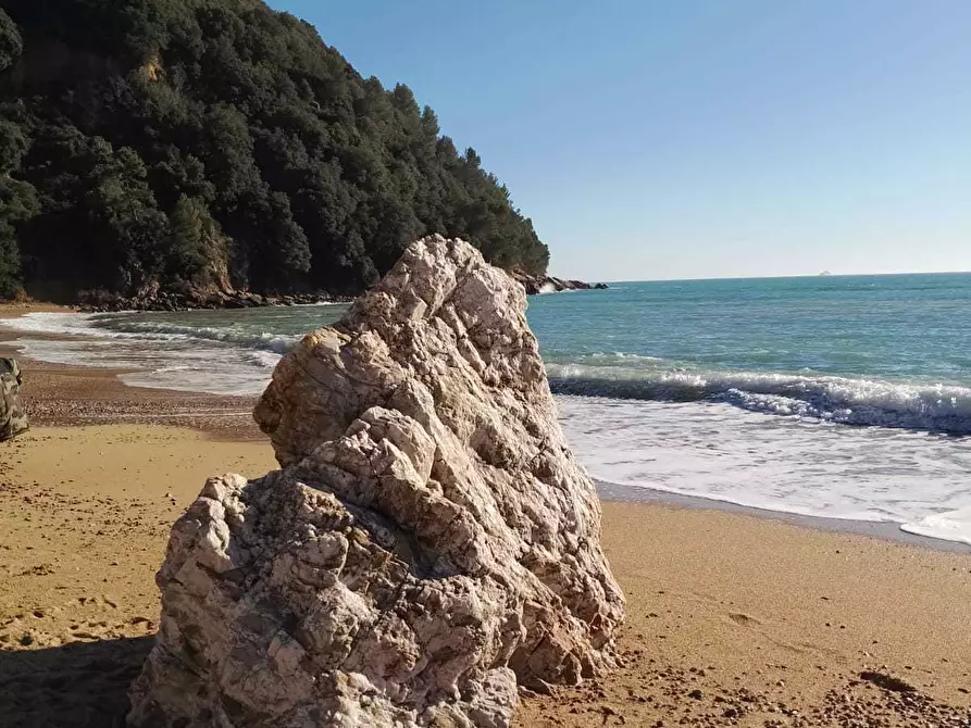 Immagine 10 di Trilocale in affitto  a La Spezia