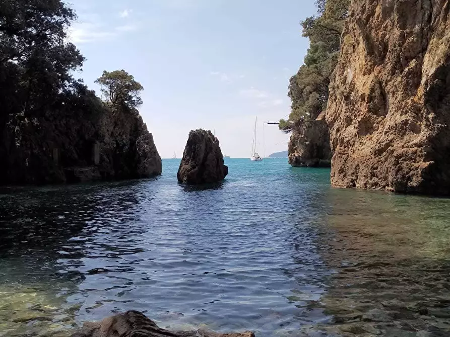 Immagine 7 di Trilocale in affitto  a La Spezia