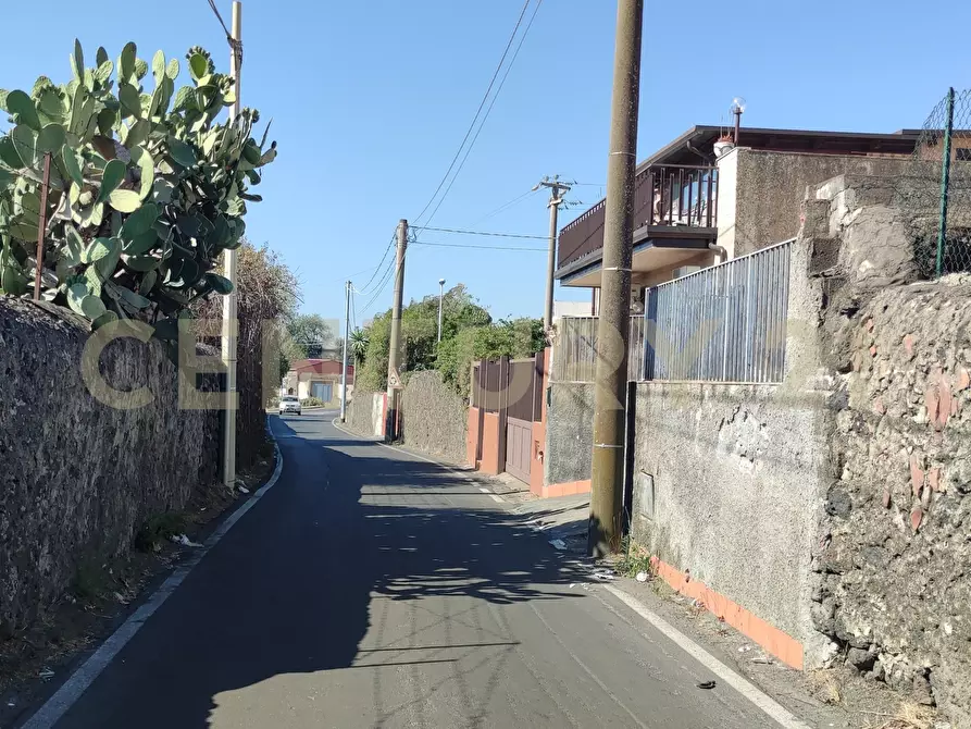 Immagine 8 di Terreno agricolo in vendita  in CONTRADA RACCOMANDATA a Misterbianco