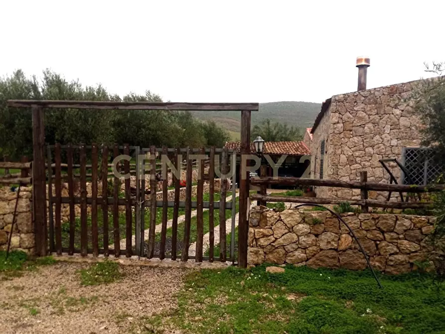 Immagine 13 di Terreno agricolo in vendita  in Contrada Masseria Grande SNC a Centuripe