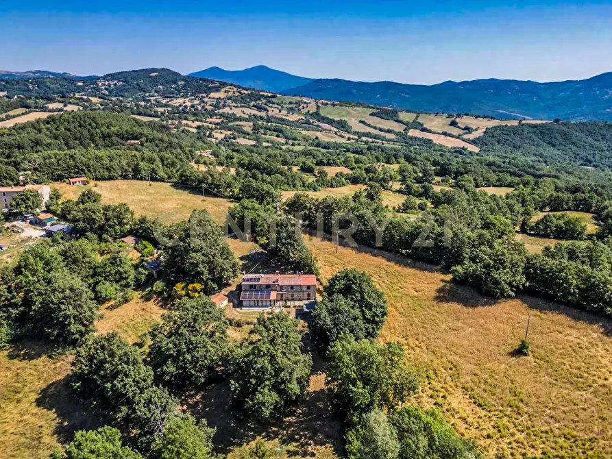 Immagine 40 di Terratetto in vendita  in Località Scovaventi 1 a Semproniano