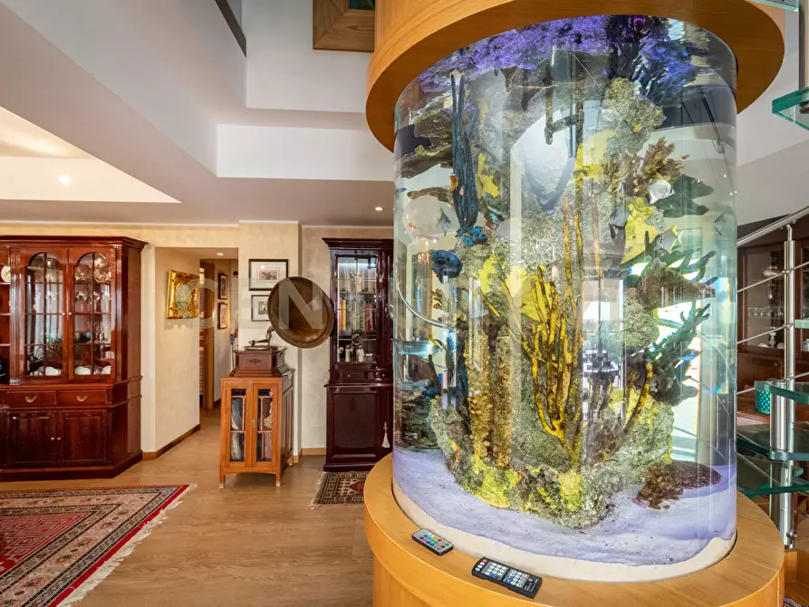 Immagine 15 di Villa in vendita  in Via Brinzio 20 a Aci Catena